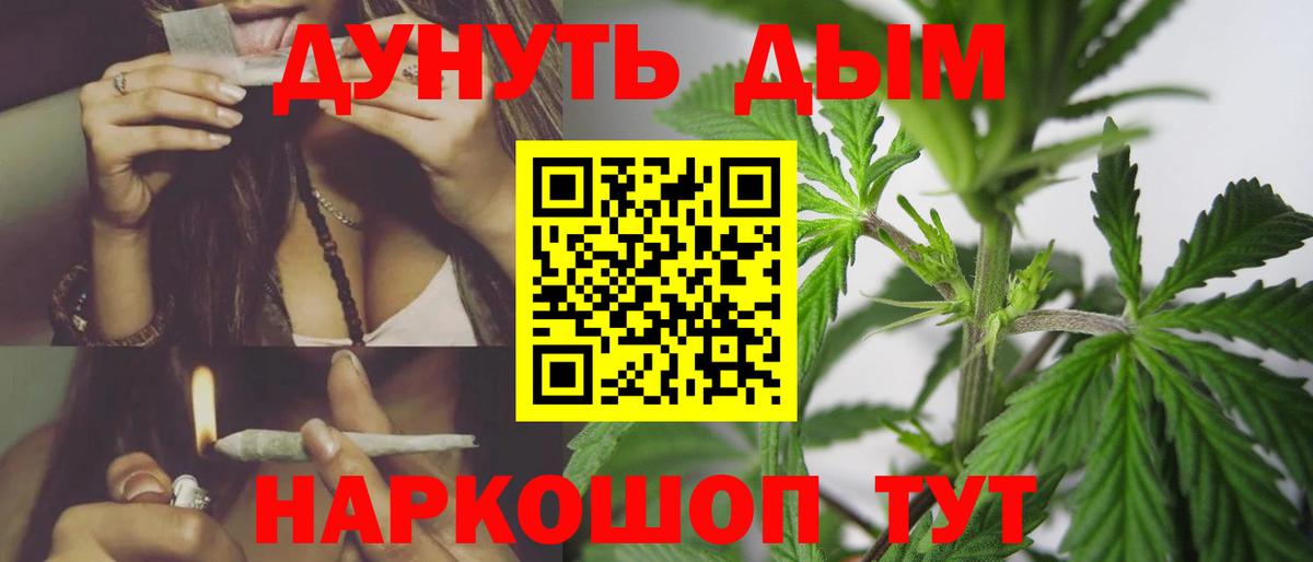 Канабис OG Kush  МАРИХУАНА SATIVA & INDICA  Канабис семена  Ростов-на-Дону  Вход с VPN  Канабис OG Kush 